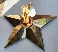 Звезда переносной модуль (513895) монтаж комплект горелка ГВД 379 10 89 00 ПС мобильная  в Буе