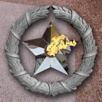 Венок вечный огонь чугун звезда нержавеющая сталь в Буе (518577)