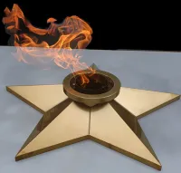 Звезда ø 800 мм. (1631) сертификат комплект горелка ГВД 379 10 89 00 ПС вечный огонь пустотелая  в Буе