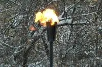 Факел садовый январь 2012 (197221) производство ø 65 мм. ветроустойчивая  в Буе