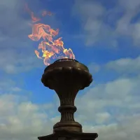 Газовая горелка апс (газ-контроль) (1629) сертификат - автомат вечный огонь ø 154 мм. ветроустойчивая  в Буе