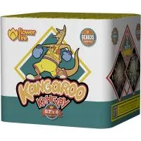 Батарея салютов Кенгуру ОС6035 купить от производителя Огненный Цветок — Буй