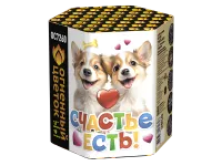 Фейерверк Счастье есть! ОС7260 купить от производителя Огненный Цветок — Буй