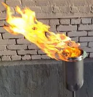 Газовая горелка (2м³/час) ГВД 379 10 89 00 ПС (517200) в Буе