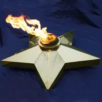 Звезда (газовая горелка) (1636) производство комплект горелка ГВД 379 10 89 00 ПС - ø 1000 мм. ветроустойчивая  в Буе