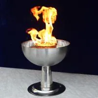 Чаша торжественный огонь (197218) производство для огня ø 320 мм. ветроустойчивая  в Буе