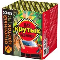 Салют Для крутых девчонок New ОС8326 купить от производителя Огненный Цветок — Буй