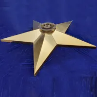 Звезда вечный огонь (1628) поставка комплект горелка ГВД 379 10 89 00 ПС ø 1100 мм. пустотелая  в Буе