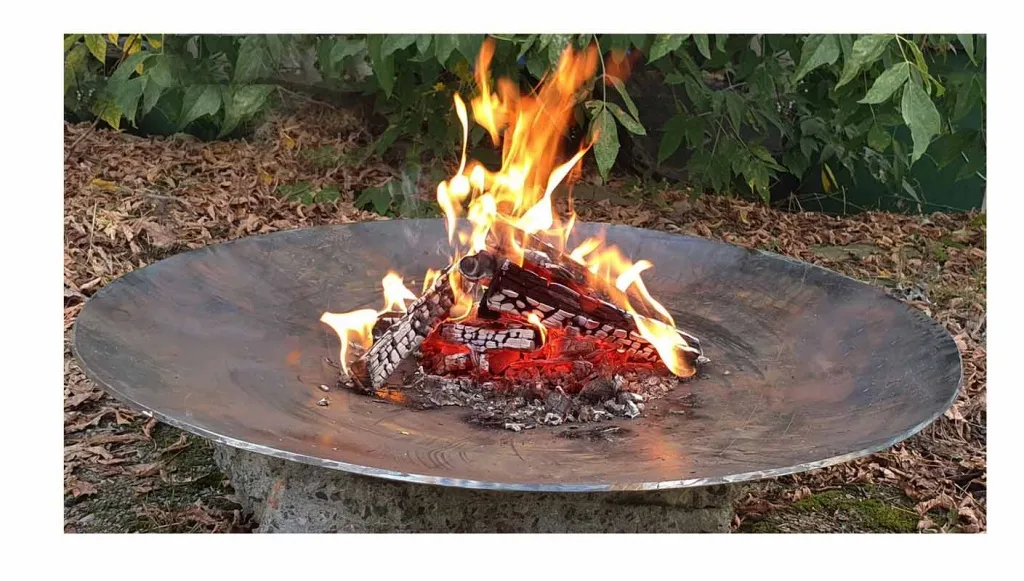 Кованная чаша для костра - авторский дизайн доставка в Буй